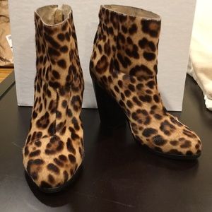 rag & bone classic Newbury Bootie in leopard